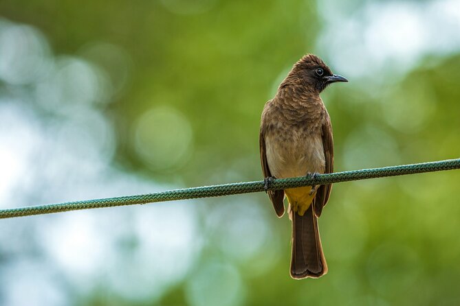 Half Day Safari at Nairobi National Park - What’s Actually Included (and Why It Matters)