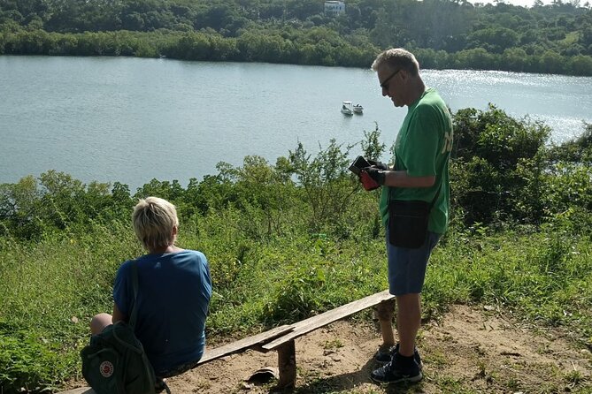 Half-Day Scenic Bike Tour - Choose your route: Coast, Coastal areas, Creek inland, or single-trail adventure