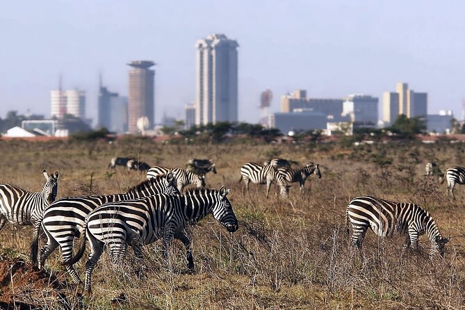 Half Day Tour To Nairobi National Park and Giraffe Center - Key Highlights You Should Know