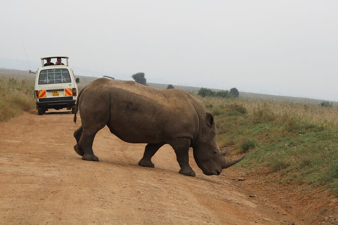 Half Day Tour To Nairobi National Park and Giraffe Center - Giraffe Centre: Conservation Learning in One Focused Hour
