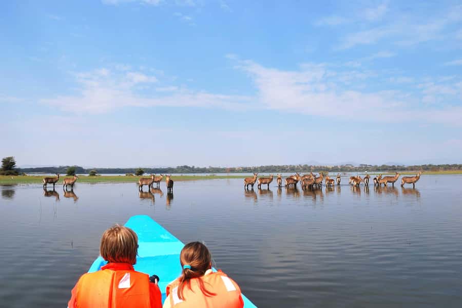 Hell's Gate and Lake Naivasha Guided Day Trip - Key highlights to pay attention to