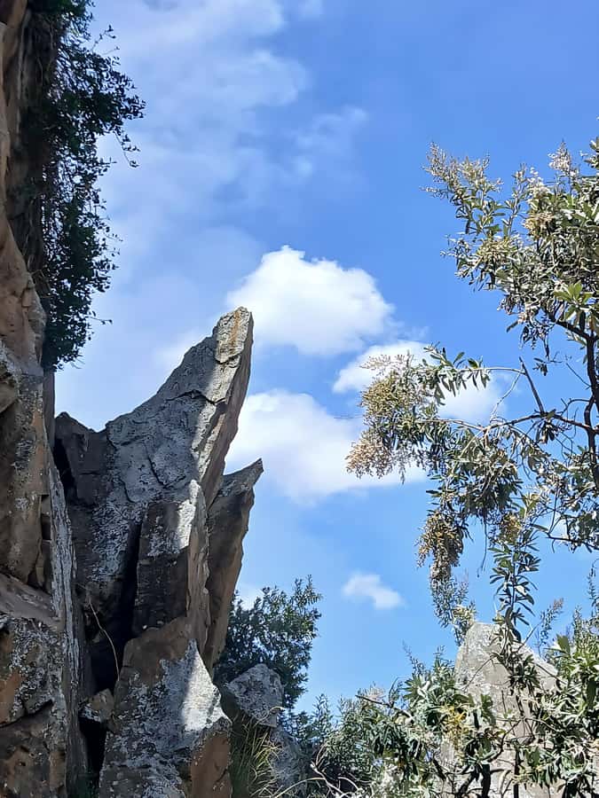 Hell's Gate Bike Ride & Crescent Island Boat Ride Experience - Pride Rock and the Lion King connection you can actually point to