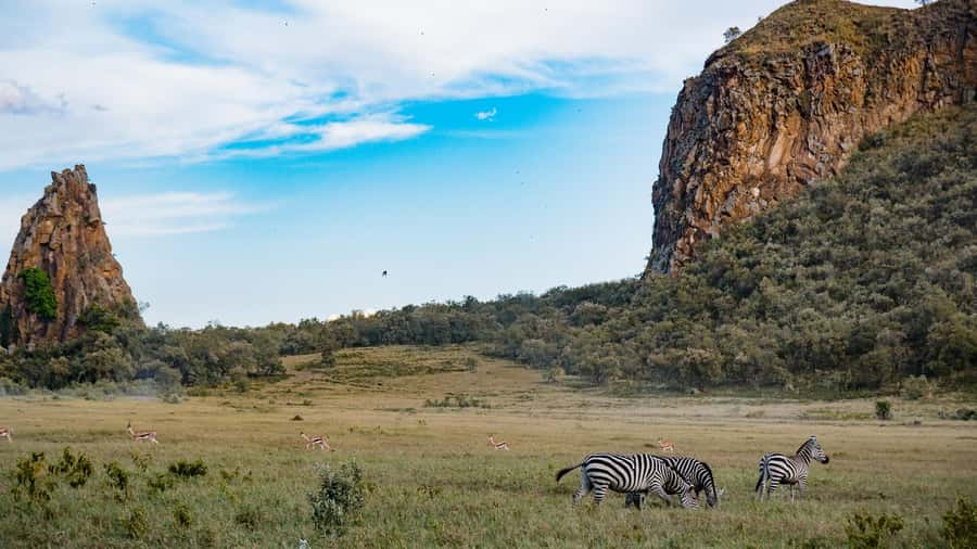 Hell's Gate & Lake Naivasha: Bike Tour, Hike & Boat Ride - Key Highlights You’ll Actually Care About