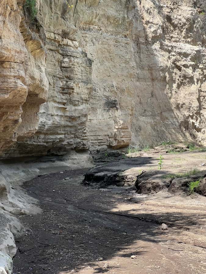 Hell's Gate & Lake Naivasha: Bike Tour, Hike & Boat Ride - Price and Value: What You Pay Up Front, What Comes Later