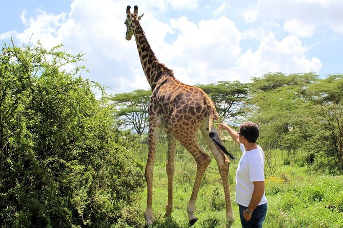 Hell's Gate & Lake Naivasha Small Group Day Tour - Guaranteed Daily Departure - Price and value: what the $225 covers, and what you still pay
