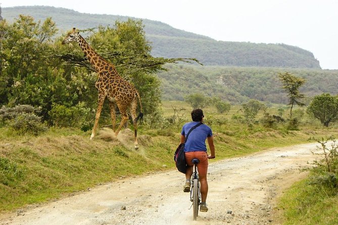 Hell's Gate & Lake Naivasha Small Group Day Tour - Guaranteed Daily Departure - Hell’s Gate National Park: bike safari choice plus walking time