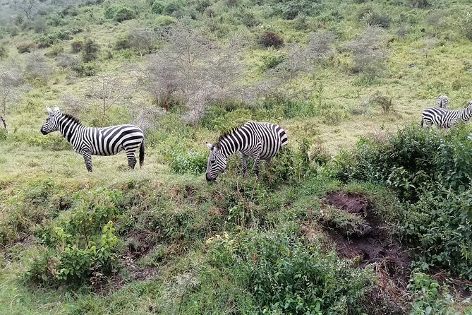 Hell's Gate National Park Private Bike Tour from Nairobi - Gorges and caves on foot: why this part feels different