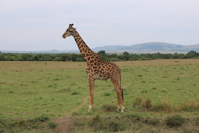 Hell's Gate National Park Private Bike Tour from Nairobi - Guides and pacing: private means you get real attention