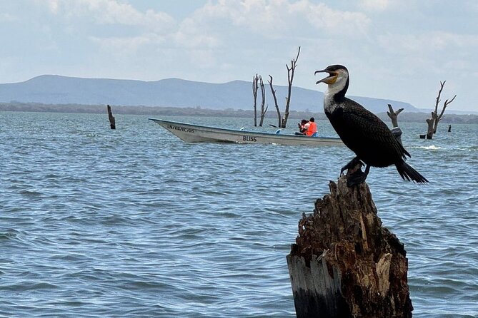 Hell's Gate Park and Lake Naivasha Day Tour - Why Hell’s Gate by bike feels different from a standard safari day