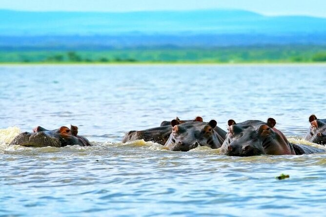 Hell's Gate Park and Lake Naivasha Day Tour - Cycling the Hell’s Gate biking safari, including the 8 km rhythm