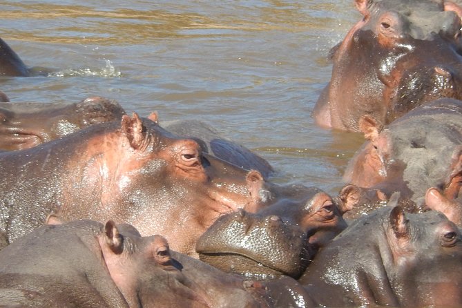 Hells Gate Cycling park & Lake Naivasha Boat tour - Nairobi Pickup, Transport, and Group Size: Why It Matters