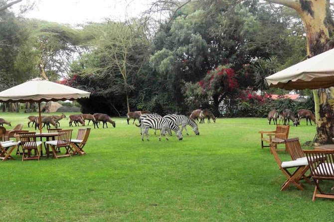 Hells Gate Excursion in Naivasha - Stories while you ride: Maasai community background and rally connections