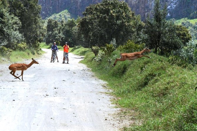 Hells Gate Excursion in Naivasha - Timing and pacing: a full day that still leaves you breathing room