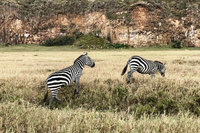 Hells Gate Excursion in Naivasha - Value check: does $95 per person make sense?