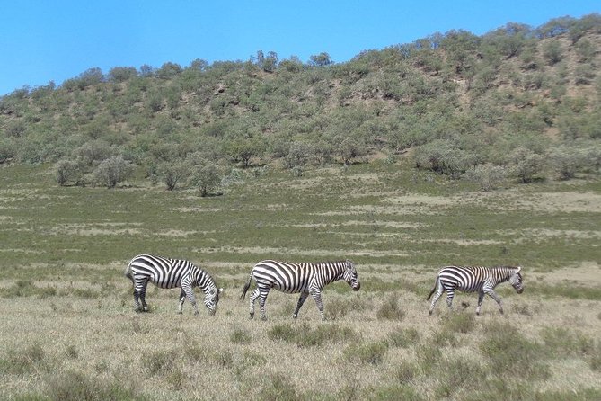 Hells Gate National Park Day Trip - What’s Included vs What You’ll Need to Budget
