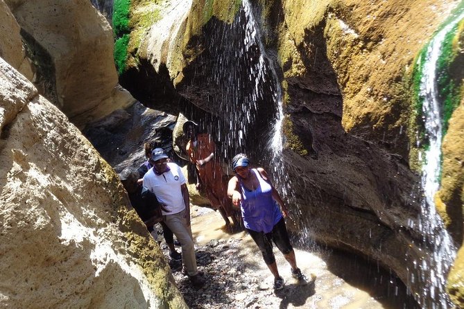 Hells Gate National Park Day Trip - Guides and Group Style: Organized, Human, and Funny