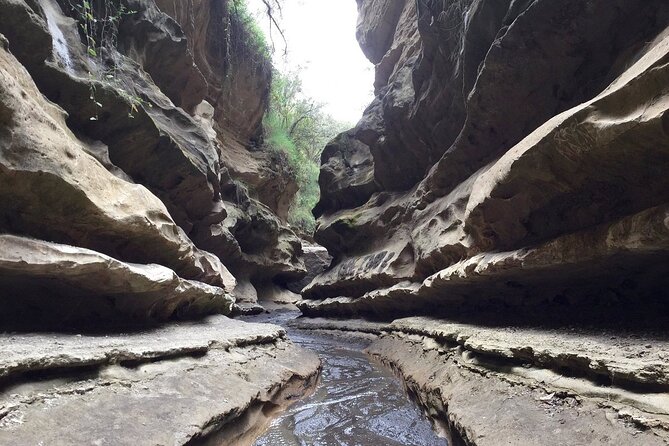Hells Gate National Park & Lake Naivasha Day Trip from Nairobi - Key highlights at a glance
