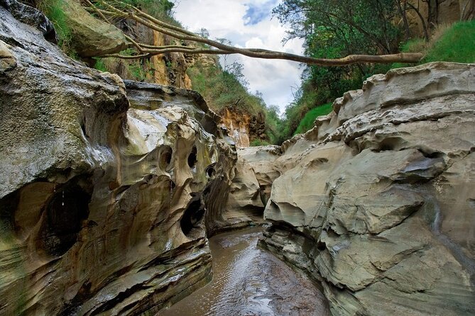 Hells Gate National Park & Lake Naivasha Day Trip from Nairobi - Hell’s Gate National Park: Rift Valley views and your activity choice