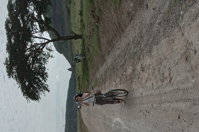 Hells Gate National Park & Lake Naivasha Day Trip from Nairobi - Group size and how that changes your experience