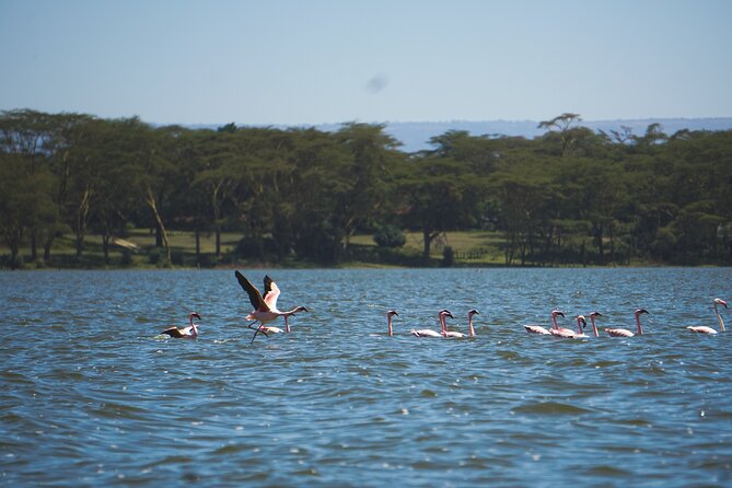 Hells Gate with Hiking Biking Climbing and Camping in Kenya - Who this Hell’s Gate adventure is best for