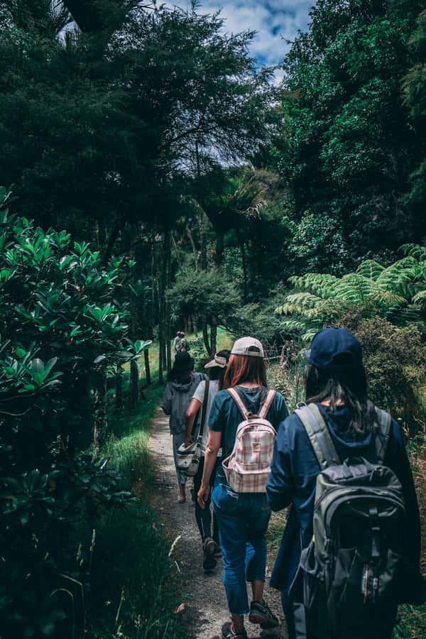 Hike in The Karura Forest - Wildlife spotting and birdwatching: what to hope for