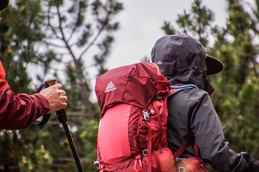 Hike in The Karura Forest - The trail experience: shade, waterfalls, and cave time