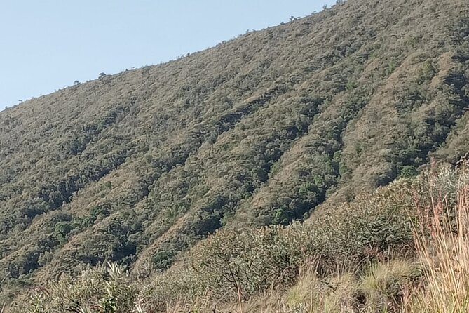 Hiking Trip to Mount Longonot National Park & Lake Naivasha - The Great Rift Valley viewpoint stop and Mt Suswa spotting