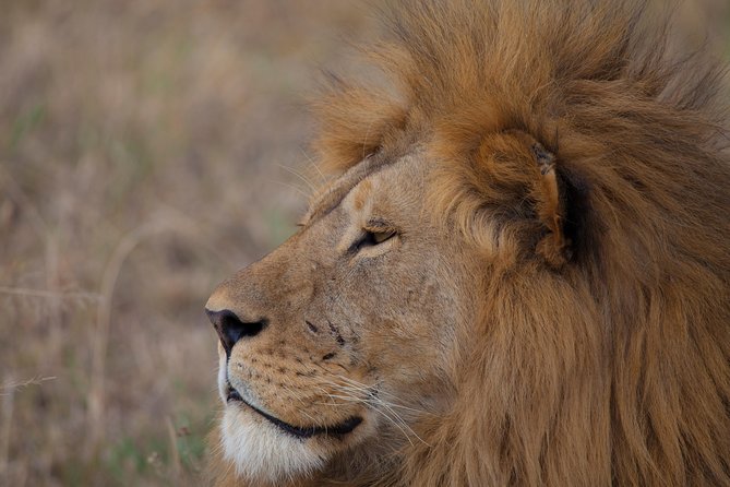 Introducing Kenya Safari Package - Tips on packing and planning for a six day safari rhythm