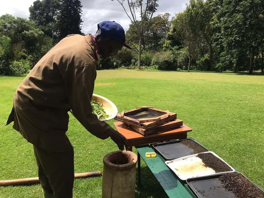 Kaimbethu tea farm tour and lunch package - Key things to know before you go