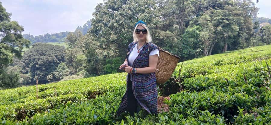 Kaimbethu tea farm tour and lunch package - A tea day just outside Nairobi, in a small group