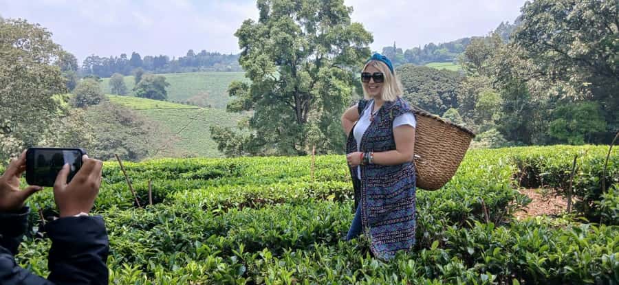 Kaimbethu tea farm tour and lunch package - Plantations plus indigenous forest, wildlife and bird-spotting along the way