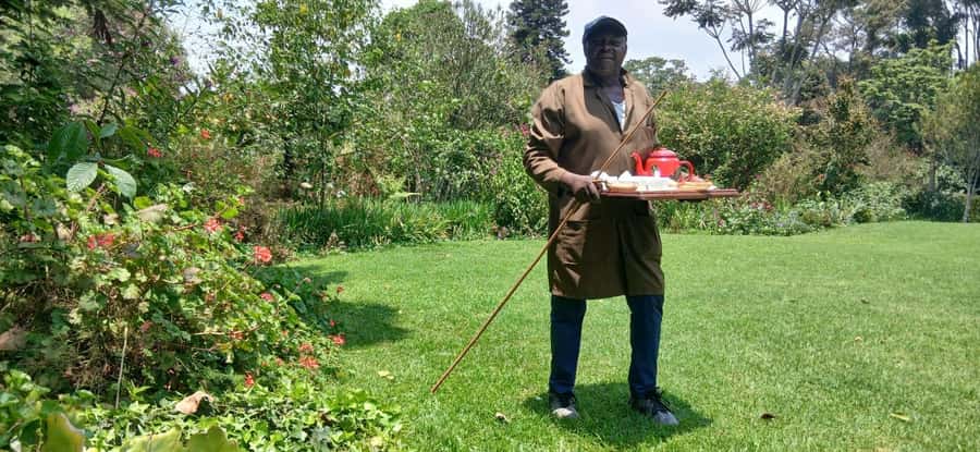 Kaimbethu tea farm tour and lunch package - Who this tour suits, and when it may not fit