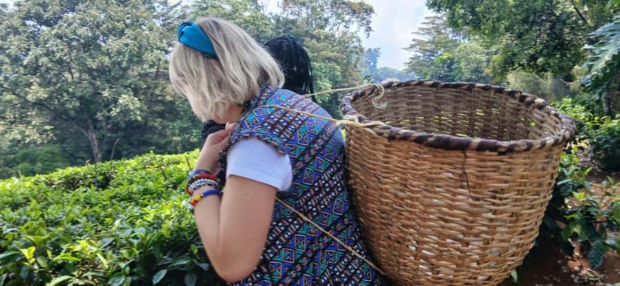 Kaimbethu tea farm tour and lunch package - FAQ