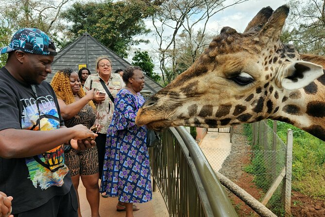 Karen Blixen Museum, Beads craft and Giraffe Day tour - What the guide, water, and transport do for your day
