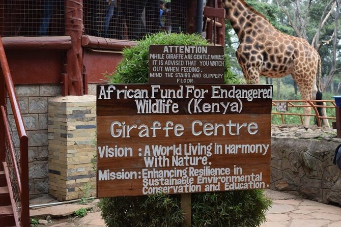 Karen Blixen Museum & Giraffe Centre Half day tour - Should you book the Karen Blixen Museum and Giraffe Centre tour?