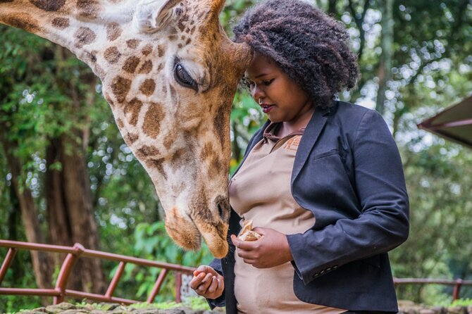 Karen Blixen Museum & Giraffe Centre Half day tour - FAQ