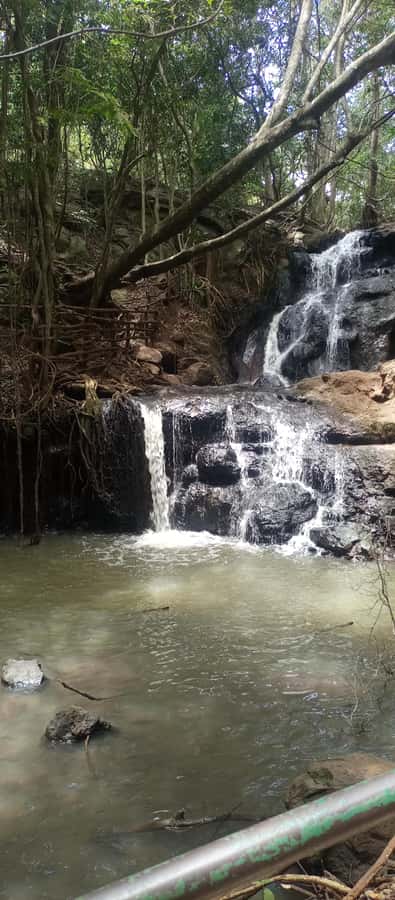 Karura forest: A walking tour into Nairobi's Nature Oasis - Key things I found most compelling