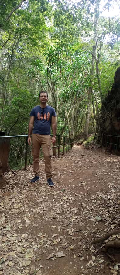 Karura forest: A walking tour into Nairobi's Nature Oasis - Karura Forest: Nairobi’s best “reset” for nature time