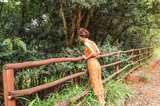 Karura Forest Hiking and Bike Tour - Key highlights before you go