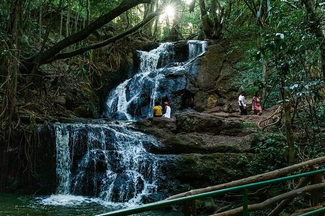 Karura Forest Hiking and Bike Tour - Why Karura Forest Feels Like a Nairobi Escape
