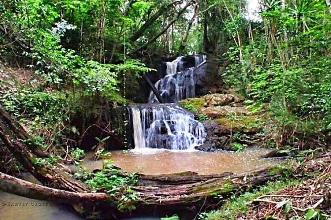 Karura Forest Hiking and Bike Tour - Walking the 5 km, 10 km, and 15 km Options on Marked Trails