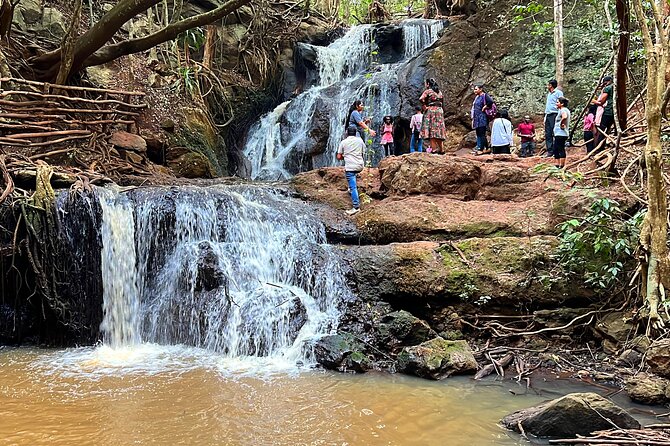 Karura Forest Nature Trail - Key Highlights Before You Go