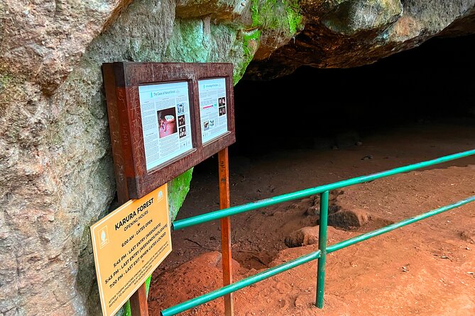 Karura Forest Nature Trail - Birdwatching Without Being a Specialist