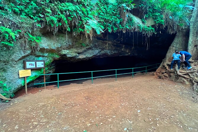 Karura Forest Nature Trail - Walk, Jog, or Go Longer: Using the Marked Trail Distances