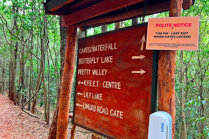 Karura Forest Nature Trail - The Guide Factor: Why Obed’s Style Gets Mentioned