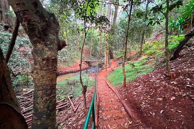 Karura Forest Nature Trail - Private Transportation and Included Entrance, What You Are Paying For