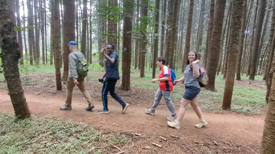 Karura Forest: Walking tour with Nature and Waterfalls. - Key takeaways before you go