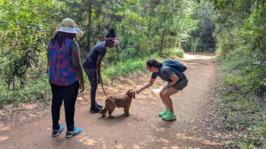 Karura Forest: Walking tour with Nature and Waterfalls. - At Karura Forest Gate C, start with the right mindset