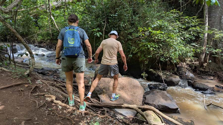 Karura Forest: Walking tour with Nature and Waterfalls. - Lilly Lake and birds: a calmer wildlife shift