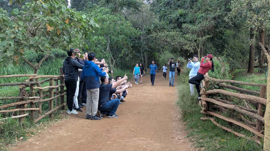 Karura Forest: Walking tour with Nature and Waterfalls. - The River Café break: fuel without losing the forest vibe